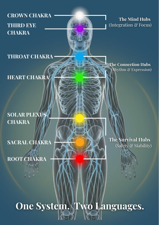 An introductory page showing the seven major energy centres split into the mind hubs, connection hubs, and survival hubs.