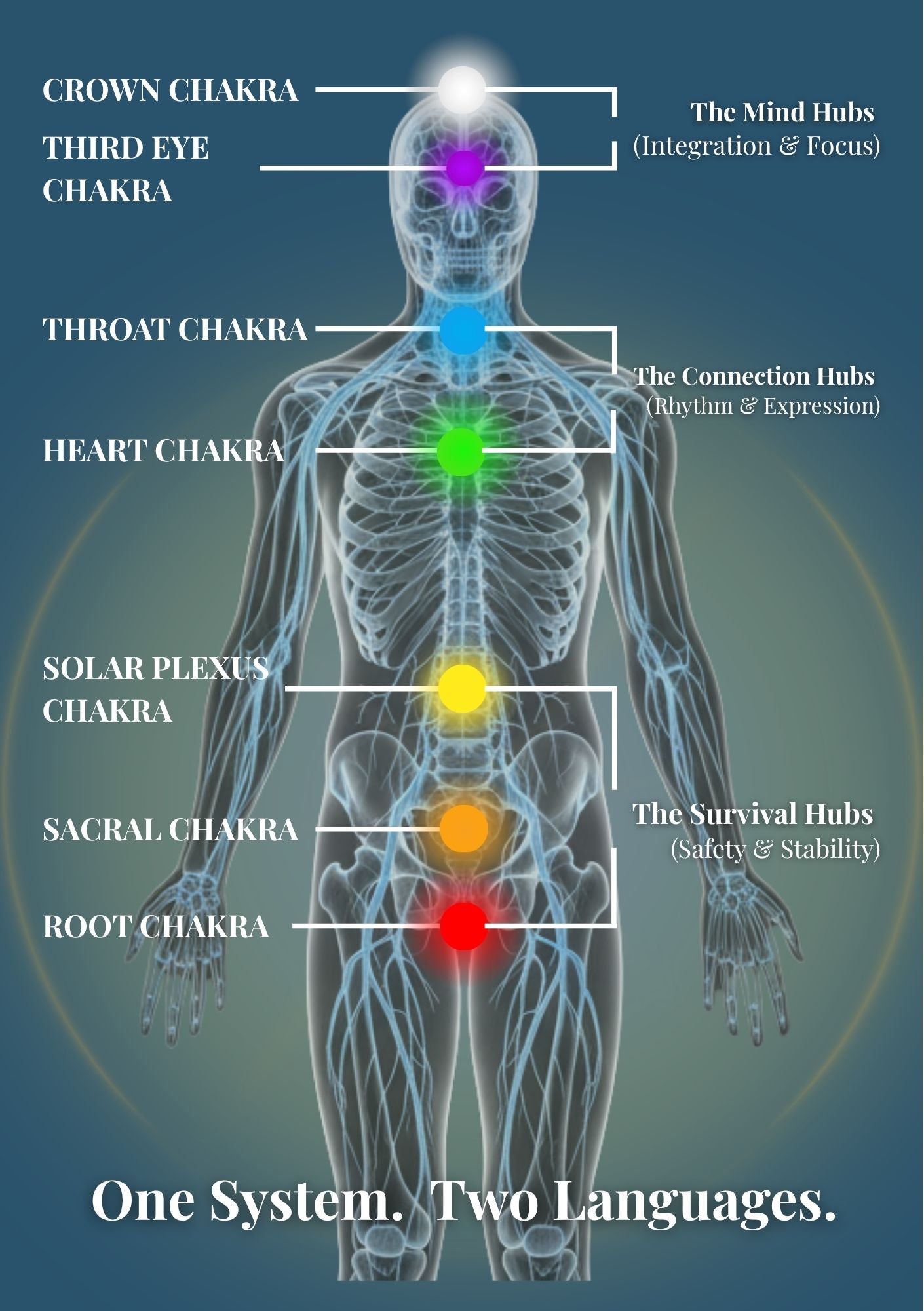 An introductory page showing the seven major energy centres split into the mind hubs, connection hubs, and survival hubs.