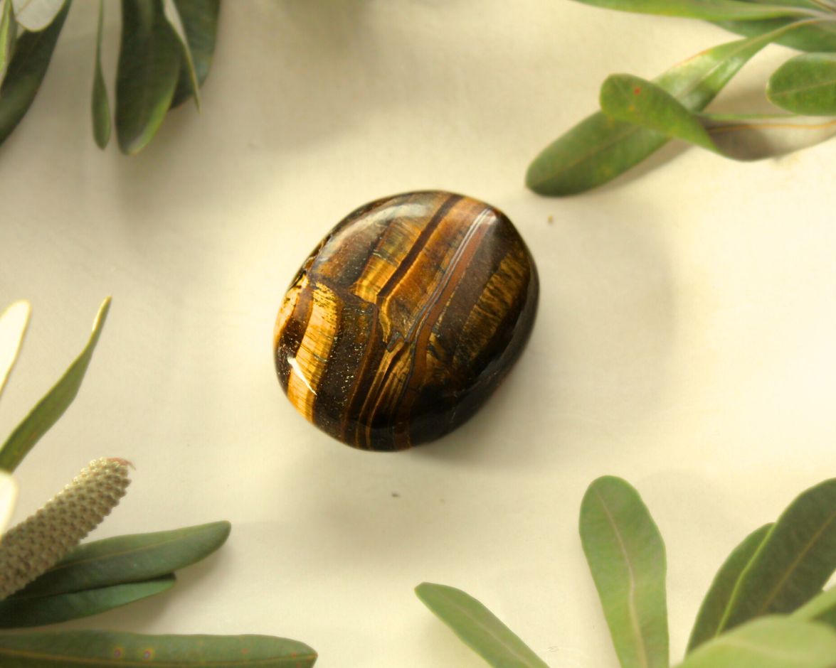 Tiger Eye palm stone displayed on a light yellow background with natural greenery — used for meditation, energy balancing, and promoting confidence, courage, and grounding.